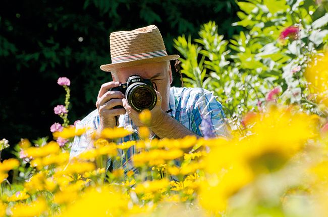 ایده های عکاسی خانگی: عکس های عالی گل در باغچه