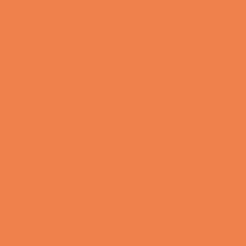 فون کاغذی بکگراند نارنجی Savage Seamless Background Paper Orange