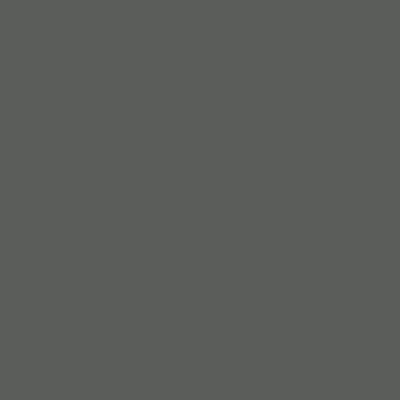 فون کاغذی بکگراند خاکستری Savage Background Paper Seamless Thunder Gray